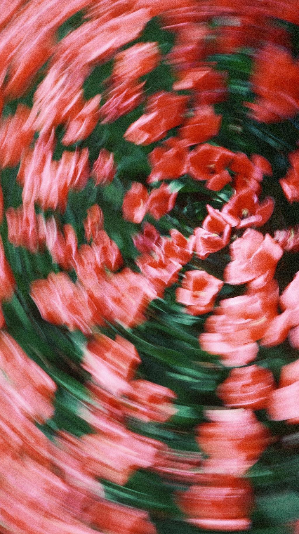 66548